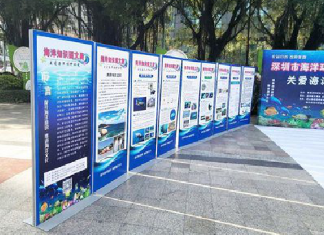 嘉鱼KT板的种类和知识。